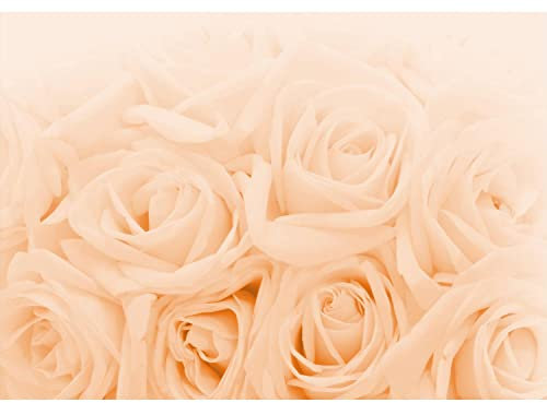 Runa Art Papier peint intissé 396 x 280 cm fleurs roses | Toison Décoration Murale Salon Chambre á Coucherr | Fabrication Allemande | jaune 9258012b