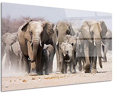 DECLINA Tableau Verre Acrylique décoration Murale Les Eléphants, Tableau Plexis, Impression sur Verre Acrylique, Cadre Photo plexi, 100x60 cm