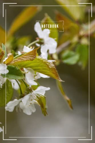 Sour Cherry Floral Notebook: White | Lined | 100 Page Notebook | 6 x 9
