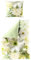 JACK by Bierbaum Mako Satin Wende Bettwäsche 135x200cm 2 TLG. Blüten Blumen Lind Gelb Creme Digitaldruck