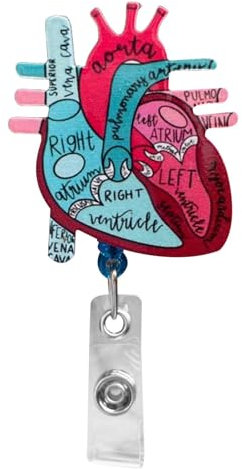 Lot de 2 porte-badges d'infirmière avec boucle facile à tirer | Porte-badge cardiaque flexible | Bobine rétractable pour carte d'identité | porte-badge infirmiere accessoires, médecin, enseignant