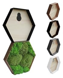 Hexagon Rahmen für Moosbilder - Sechseck - DIY Moosbild - Unterschiedliche Farben - Rahmen zum Befüllen