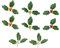 TOPBATHY 1 Satz Weihnachtskirsch Zubehör Simulieren Willkommensdekoration Beeren Weihnachtsschmuck Kugeln Banner Beeren Blätter Ornament Ornamente Beerenzweige LED 8 Stück