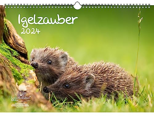 Igelzauber DIN A3 Kalender für 2024 Igel - Seelenzauber