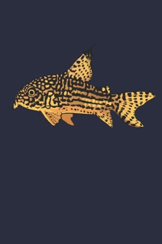 Welse Aquarist Meerwasser Fisch Aquarium: Notizbuch & Tagebuch für Hobby Aquaristen