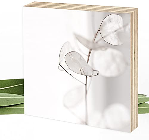 Wunderpixel® Holzbild Fotografie Silberblatt - beige-weiß - 15x15x2cm zum Hinstellen/Aufhängen, echter Fotodruck auf Holz - Wand-Bild Aufsteller zur Dekoration/Geschenk-Idee