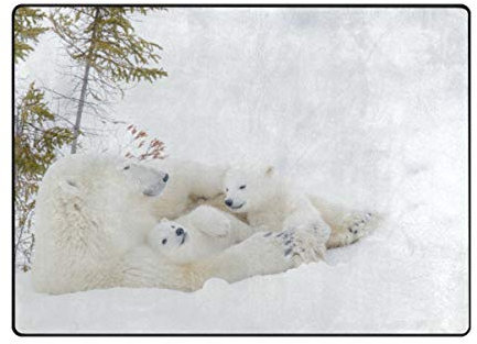 BALII Kinderteppich mit Eisbär-Motiv, 203 x 147 cm