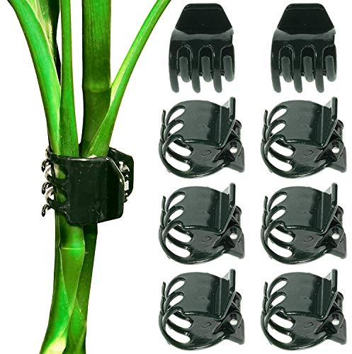 BEADNOVA Pflanzenklammern, 50 Stück, Orchideen-Clips, große Orchideen-Stützklammern, Rankenklammern, Pflanzenclips zur Unterstützung von Blumen, Orchideen, Ranken (2 cm, 50 Stück)