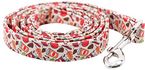 Unique style paws Hundeleine, Bequeme Haustierleine für kleine, mittlere, große und extra schwere Hunde