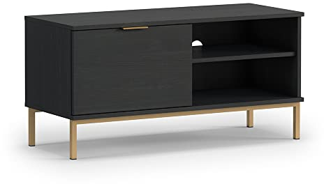 TV Lowboard Fernsehschrank in Esche schwarz Nb., 101 cm breit, 1 Softclose-Tür, 2 offene Fächer, Kabeldurchlass, Industrial Design mit goldfarbenem Metall-Fußgsestell, B/H/T ca. 101/50/41 cm