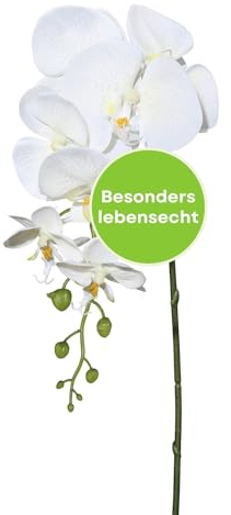 CREATIV green stilvolle Phalaenopsis Kunstorchidee 86cm in Creme I künstliche Orchideen wie echt mit naturgetreuen Blüten I Pflegeleichte & täuschend echte Kunstblumen I Ideal als Blumen Deko