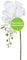 CREATIV green stilvolle Phalaenopsis Kunstorchidee 86cm in Creme I künstliche Orchideen wie echt mit naturgetreuen Blüten I Pflegeleichte & täuschend echte Kunstblumen I Ideal als Blumen Deko