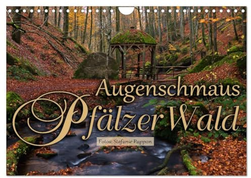 Augenschmaus Pfälzer Wald (Wandkalender 2026 DIN A4 quer), CALVENDO Monatskalender: Eine Bildreise durch die Jahreszeiten des Pfälzer Walds (CALVENDO Natur)