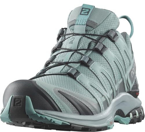 Salomon XA PRO 3D Gore-Tex, Scarpe da Trail Running, Donna, Lead/Stormy Weather/Meadowbrook, 38 2/3 EU