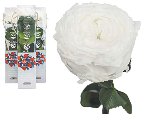 3x Ewige Rose 27 cm Weiß Konservierte Rose mit Stiel und Blättern - Rosen, gefriergetrocknet, preserved haltbare rose, infinity rosen, Ewig blühende Rose