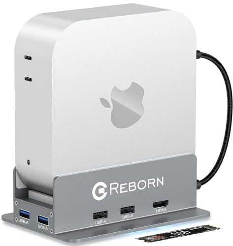Reborn Mac mini M4 Dock & Stand with NVMe SSD Enclosure, Mac Mini M4 Hub with 4K60Hz HDMI, 4K60Hz DP, 5G USB A*2, USB A 2.0*2, TF/SD Card Reader 9-in-1 USB Hub for Mac mini M4,Mac mini M4 Pro - Silver