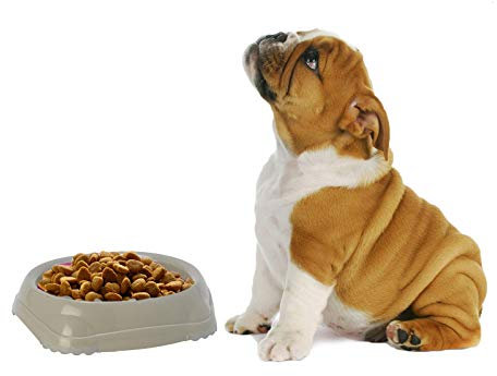 DogCentreⓇ 2x Grey 0.2L Plastic NonSlip Dog Puppy Pet Animal Feeding Food Water Bowl Dish UK