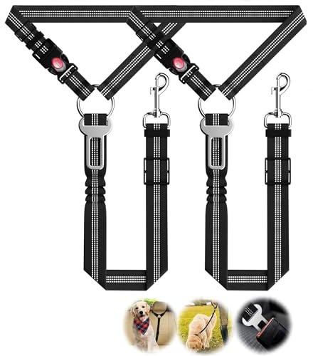 2 Stück Hund Kofferraum anschnallen,Hundeanschnaller fürs Auto,Reise & Transport für Hunde,mit Elastischer Ruckdämpfung und Starke Karabiner,Geeignet für alle Hunderassen unter 60 kg