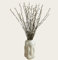 Loftschloss 10 Pcs frischer natürlicher Weidekätzchen Bund 100cm, Hochzeitsdeko Osterdeko Wohnzimmer Deko, Willow Kitten, Salix