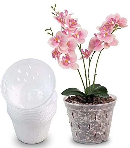 Orchideentöpfe mit Löchern - Set mit 5 transparenten Orchideen-Pflanzgefäßen mit Löchern,Umtopfen, Blumentopf-Set, Hausgarten-Dekoration, Balkon-Schlitz-Drainage-Vase für chinesische Rose