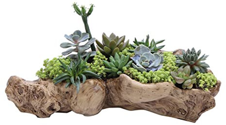 Cabilock Pot Plantes Résine Imitation Racine d'arbre Décoratif Pot de Fleurs Créatif pour Maison Bureau Jardin Balcon Table à Manger Ornement Décoratif