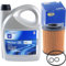 Inspektionspaket Ölwechsel Set Ölfilter + Motoröl 5W30, 5 Liter | passend für GM dexos 2 GM-LL-A-025 GM-LL-B-025