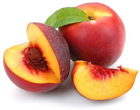 Nectarine Trees, Multi-Pack, 2 x Full Plants in 10 Litre Pots, Garden Fruit, Nectarine, Large Trees, 1.4m to 1.6m Height, Garden Ready and Ready to Plant, Premium Quality Fruit