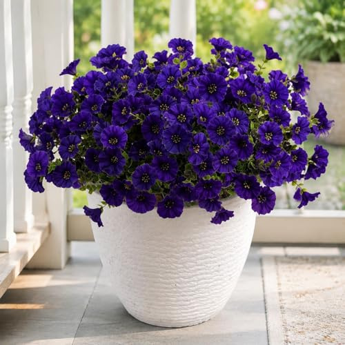 Aisamco Flores de Seda Artificiales para Decoración al Aire Libre, 12 Paquetes de Flores de Imitación Morning Glory, Plantas Falsas Resistentes a los Rayos UV para Jardinera, Porche, Patio