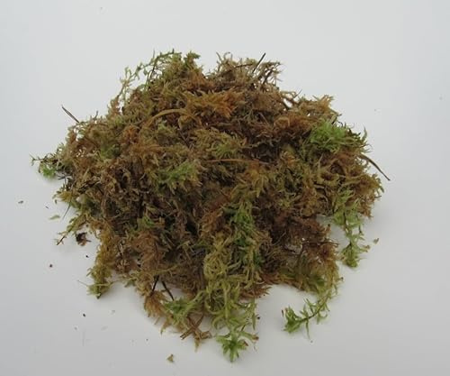 florari 500g lebendes Torfmoos, Sphagnum Moos