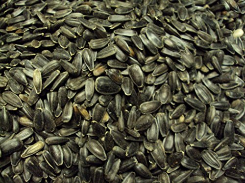 Andys-Nagerparadies Sonnenblumenkerne schwarz 25kg Winterstreufutter für Wildvögel