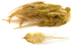 3g Hahnenkreuz Federn ca. 8-13cm (gold 687) // Dekofedern Bastelfedern Federn Hahn Natur Schmuckfedern Vogelfedern Hahnenfedern