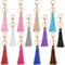 12 Stück Leder-Quasten Schlüsselanhänger Kreis PU-Leder Quaste für Frauen Bulk Quasten Lanyard Schlüsselkette Halter mit Karabiner Drehgelenk Tasche Anhänger Zubehör Schlüssel Geldbörse