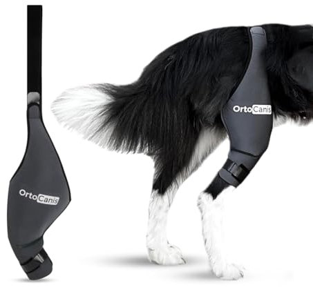 Ortocanis - Kniebandage Hund Hinterbein für das Linke Bein - Hergestellt aus Neopren ARD - Bei Kreuzbandriss, Bänderverletzungen, Patellaluxation oder Osteoarthritis - Größe Mini (5,9-6,3)