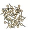 IDEALSV Small Screw Eyes Pin Hook Eyelets Screw Threaded Key Chain Hooks 12 x 5mm Mini Screw Eyes Pin Hoop for Jewelry Making Bronze 300 Pack
