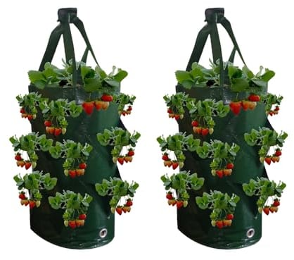 Muzboo 2 X Erdbeer-Anbau-Sack, HäNgender Garten-PflanzbehäLter Mit Griffen, GemüSe-Anbau-Sack, Geeignet für Blumen, GrüNe Pflanzen und FrüChte, 20X35 Zentimeter (3 Gallonen, 10 LöCher) Green