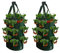 Muzboo 2 X Erdbeer-Anbau-Sack, HäNgender Garten-PflanzbehäLter Mit Griffen, GemüSe-Anbau-Sack, Geeignet für Blumen, GrüNe Pflanzen und FrüChte, 20X35 Zentimeter (3 Gallonen, 10 LöCher) Green
