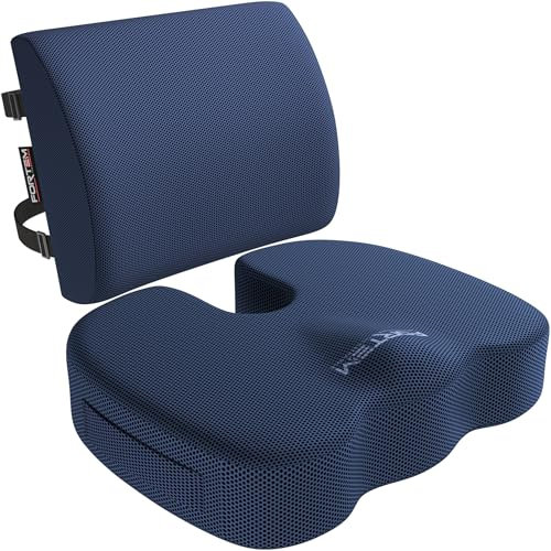 FORTEM Office Chair Cushion and Back Support for Office Chair, Lumbar Support Pillow, Memory Foam, Non Slip Sitting and Back Rest for Gaming, Car Seat Cushion, Chair Pad, XL