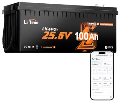 LiTime Batteria LiFePO4 24V 100Ah Bluetooth e CAN/RS485 per Impianto Solare | Max 15000 Cicli, 2560Wh, BMS 100A, Sostituzione AGM, IP65, Batteria Litio 24V per Accumulo Domestico e Fotovoltaico, Off-grid