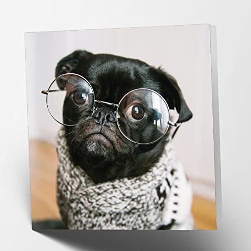 Geburtstagskarte, Motiv: Mops in Brille, blanko, quadratisch