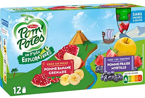 Lot de 6 unités *** POM'POTES Gourdes compote les p'tits explorateurs pomme banane grenade et pomme fraise myrtille 12x90g*** soit un format carton de 6 unités ***