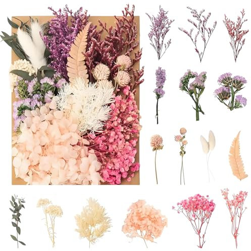 jatimdotin Trockenblumen, Natürliche Getrocknte Blumen, Getrocknete Blumen Zum Basteln für DIY Scrapbook Zubehör Handgemachte Heimdekoration Hochzeit (Rosenrot)