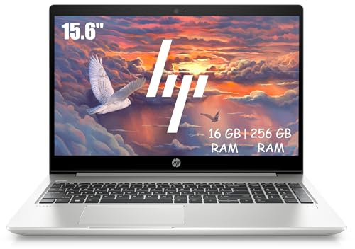 HP ProBook 450 G6 Computer Portatile Professionale, 15,6 Pollici FHD (1920 x 1080), Intel Core i5-8265U, 16 GB di RAM, SSD da 256 GB, tastiera giapponese QWERTY, Windows 11 Pro (ricondizionato)