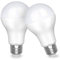 Awenia LED Lampe E27 20W (ersetzt 150W) Glühbirne,Tageslicht Weiß (4000K), 2452 Lumens Lighting, 2-er Pack