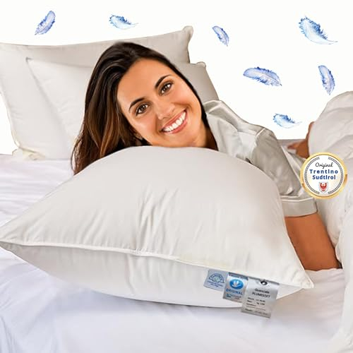FacilCasa Daunenkissen 65x65, 1 Federkissen, Luxushotel Kollektion, Echte natürliche weiße Gänsefedern, Wolke der Weichheit Kissen, Reines Premium Perkal Baumwoll-Kissenbezug