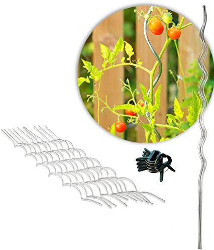 Novatool 10x Tomatenspiralstab 150 cm und 20x Pflanzklammer klein IMetall verzinkt stabil Pflanzstab Tomate Pflanzensicherung I Pflanzenbefestigungen Stab Tomatenrankhilfe für Topf Gewächshaus