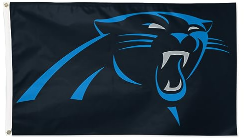 Wincraft NFL Flagge 150x90cm Banner NFL Carolina Panthers