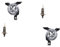 Johns, Nebelscheinwerfer passend für VW New Beetle 1C 9C 1Y 06/00-07/05 Set li re m. H1