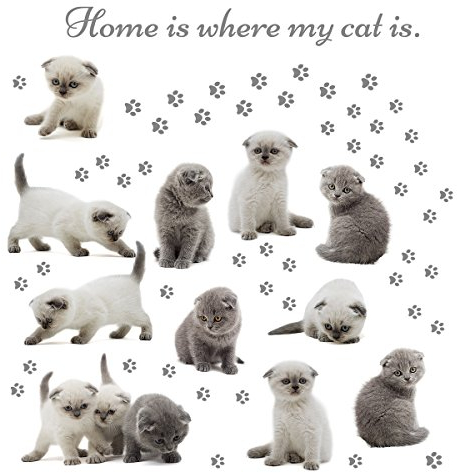 Eurographics Home Where My Cat is 50x70 Wandsticker, Papier, bunt, 70 x 50 x 0.4 cm