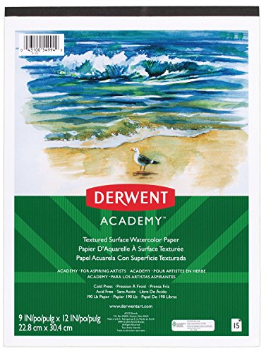 Derwent Academy 54994 Aquarellpapier, strukturierte Oberfläche, 15 Blatt, 22,9 x 30,5 cm