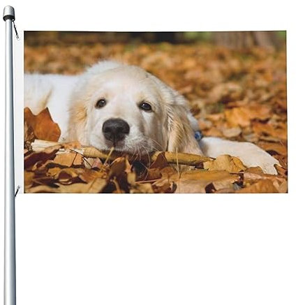 Lazy Dog Puppy Flagge, 90 x 150 cm, doppelseitig, Gartenflaggen, Willkommensflaggen, Banner, Dekoration für Hof, Veranda, Rasen